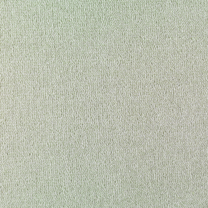 cartouche_silver_fern