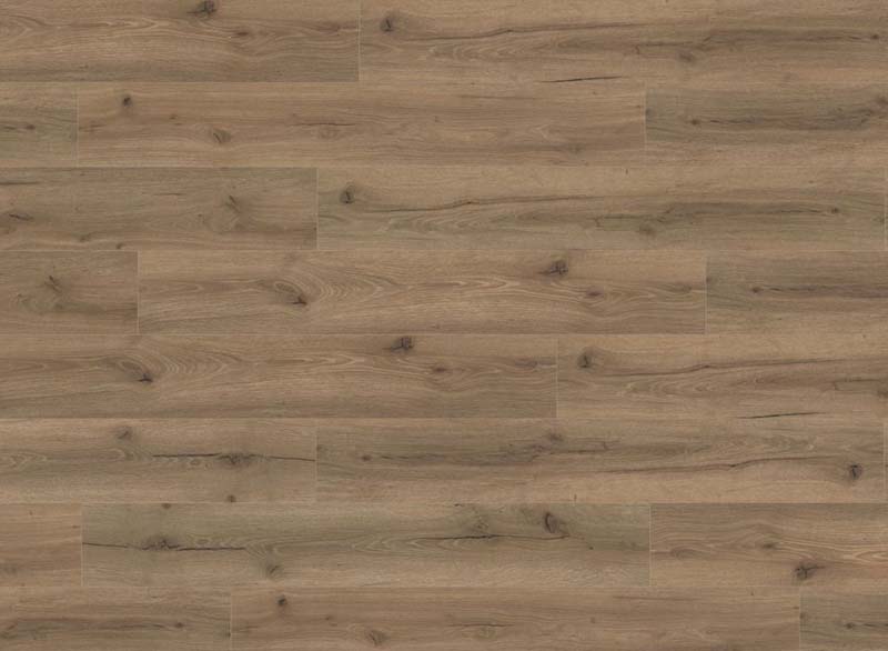 mocha_oak