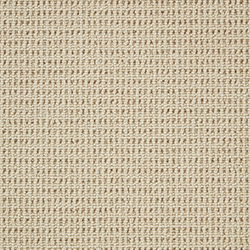 palm_beach_texture