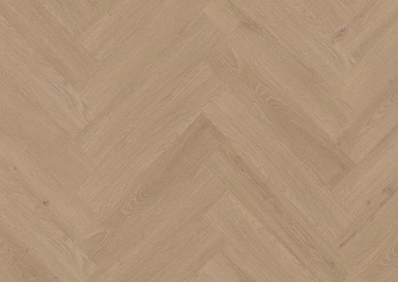 sahara-oak