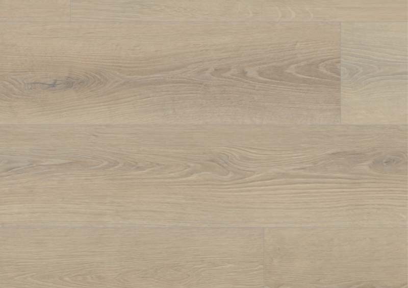 seashell_oak_plank