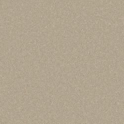 stucco