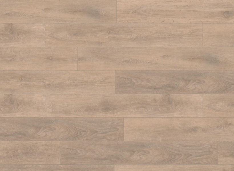 blonde_oak_1258344735