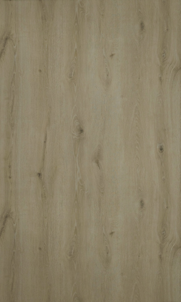 slaney_beige_
